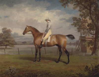 Retrato de un caballo de carreras, posiblemente Disguise, propiedad del Duque de Hamilton, con jinete de George Garrard